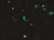 Black Speckled
