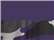 Purple/ Purple Camo