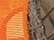 Realtree AP/ Neon Orange