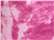 Pink Lady