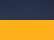 Navy/ Gold