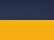 Navy/ Light Gold