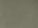 Safari