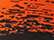 Black/ Deep Orange