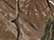 Realtree All Purpose