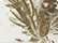 White Realtree AP