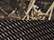 Realtree Max7/ Brown