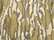 Original Bottomland