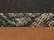 Brown/ Realtree APX
