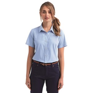 RP321 Artisan Collection by Reprime Women's Microcheck Gingham Short Sleeve Cotton Dress Shirt