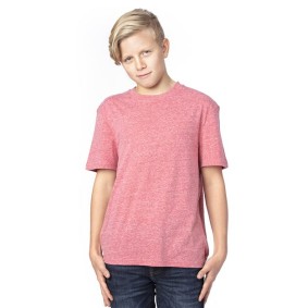 602A Threadfast Apparel Youth Triblend T-Shirt