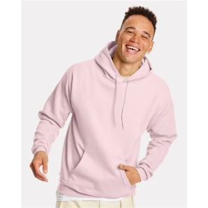 P170 Hanes Ecosmart Hooded Sweatshirt