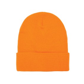 Cuffed Knit Beanie