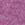 Heather Radiant Orchid