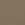 Safari