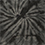 Spider Black
