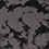 Iced Gray