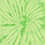 Spider Lime