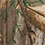 Realtree Edge